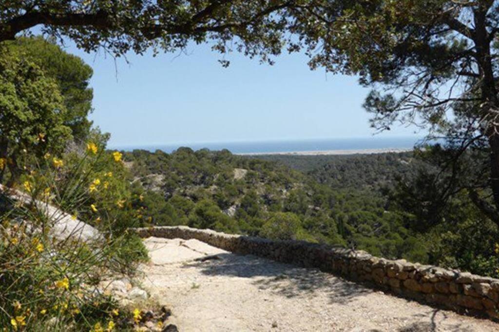 Entre Mer Et Garrigue Saint-Pierre-la-Mer  المظهر الخارجي الصورة
