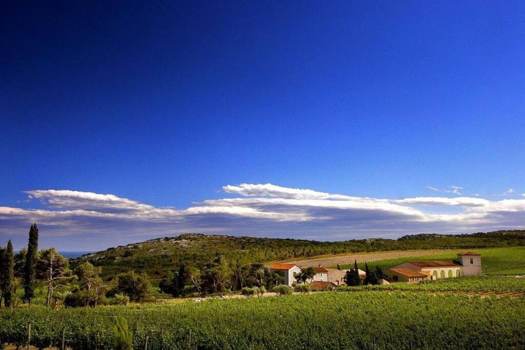 Entre Mer Et Garrigue Saint-Pierre-la-Mer  المظهر الخارجي الصورة