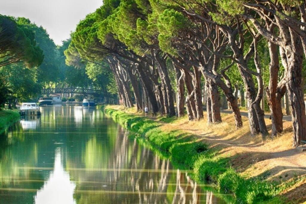 Entre Mer Et Garrigue Saint-Pierre-la-Mer  المظهر الخارجي الصورة