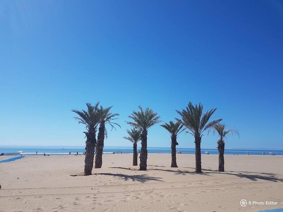 Entre Mer Et Garrigue Saint-Pierre-la-Mer  المظهر الخارجي الصورة