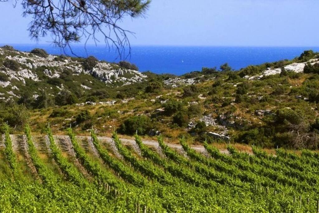 Entre Mer Et Garrigue Saint-Pierre-la-Mer  المظهر الخارجي الصورة