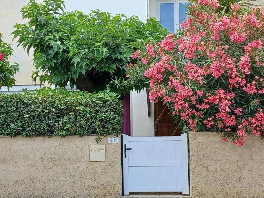 Entre Mer Et Garrigue Saint-Pierre-la-Mer  المظهر الخارجي الصورة